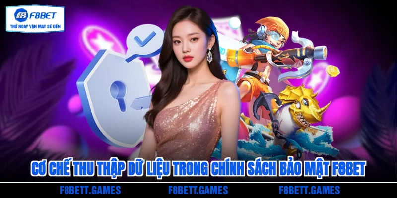 Cơ chế thu thập dữ liệu trong chính sách bảo mật F8BET