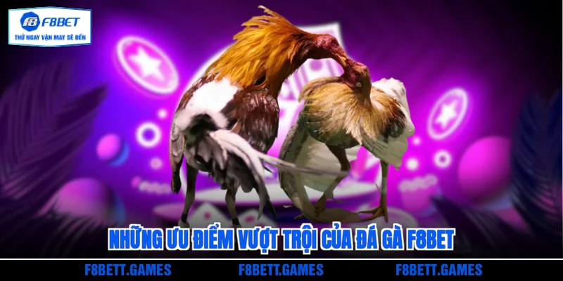 Những ưu điểm vượt trội của Đá gà F8BET
