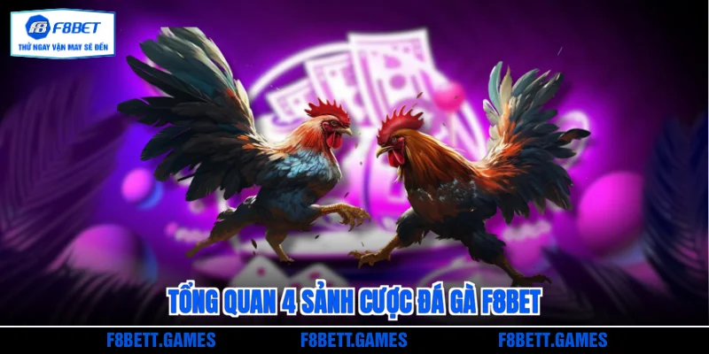 Tổng quan 4 sảnh cược Đá gà F8BET